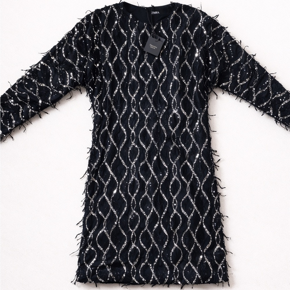 Nwt-Zara- SEQUIN FRINGED MINI DRESS